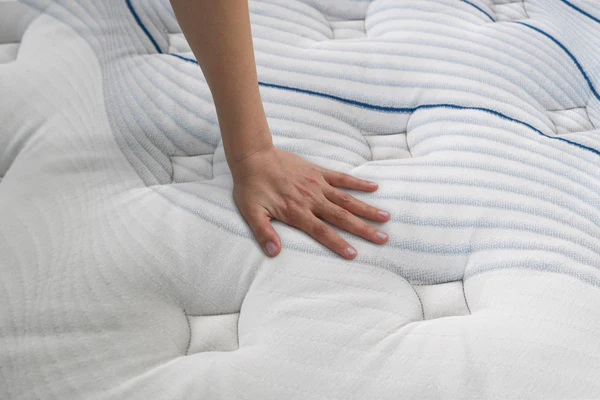 Bear | Elite Hybrid - Tencel Cover - Image 6