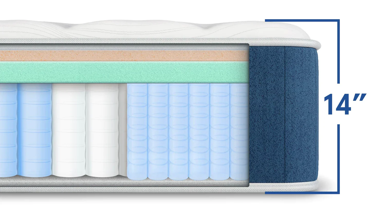 Bear | Elite Hybrid - Celliant Cover - Image 3